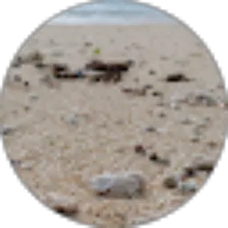 Review From Eko Riyanto