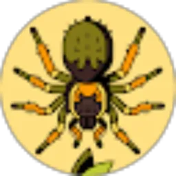 Review From 12ully juni