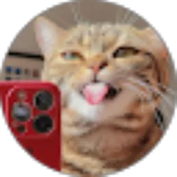 Review From Zylin