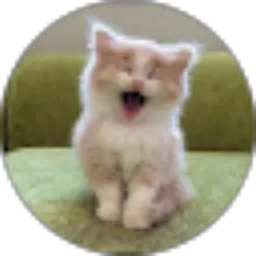 Review From Evan kenzie