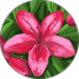 Review From Husnatul Nadia