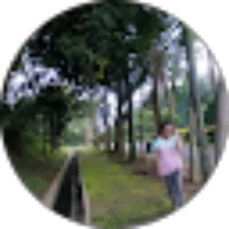 Review From Ani Sofiani