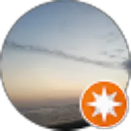 Review From Shendenk