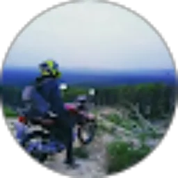 Review From Teguh Mfd