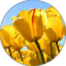 Review From Devi Diana