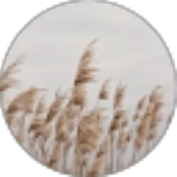 Review From Anggik Topan Efriliawan (Topan)