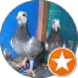 Review From K C L Channel