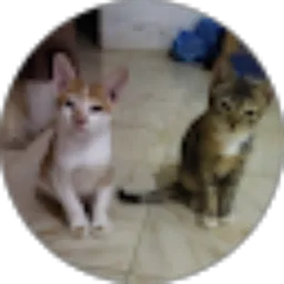 Review From Kanjeng Romoh