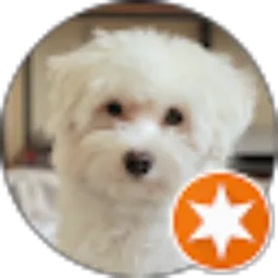 Review From Christian Adiguna