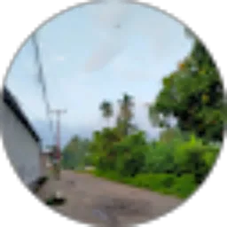 Review From Sarwono Jawa