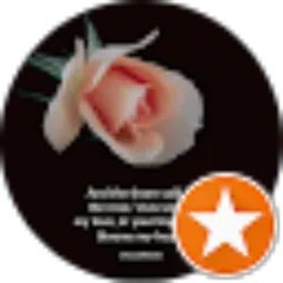 Review From Ayu Lestari (AyuL)