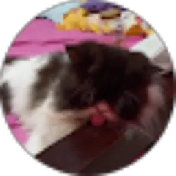 Review From Agus Daruntoro