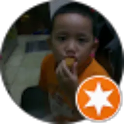 Review From Mochamad Lutpiana