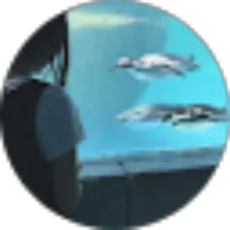 Review From nanathaliea sabrina