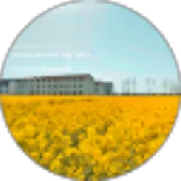 Review From Dewi malia