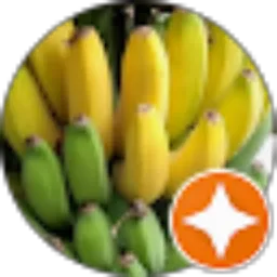 Review From Abdul Ho