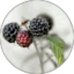 Review From Lusiawati