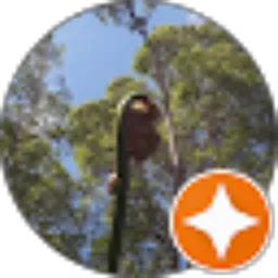 Review From Aan F Andi