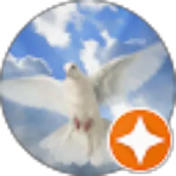 Review From Andy Andreanth