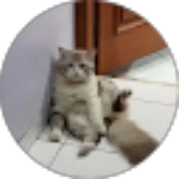 Review From Najichah Aditya