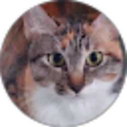 Review From Indah Nuryani