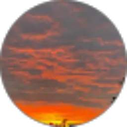 Review From Audy Andini Eka Putri