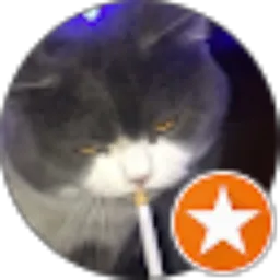 Review From Ibnu Nugraha