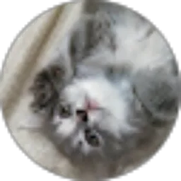 Review From julie ana