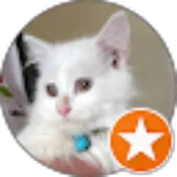 Review From Mudah Umyy