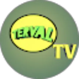 Review From KATOS fight_game