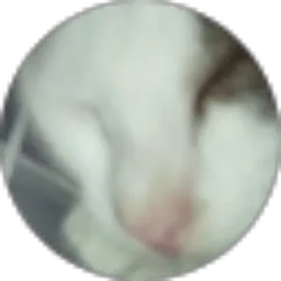 Review From Zahra Anggun