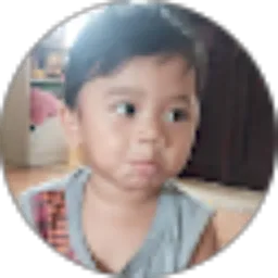 Review From dedi permana putra