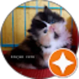 Review From Farida Risti