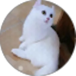 Review From Hasan Ila