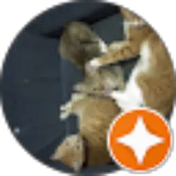 Review From Deny Kiezz