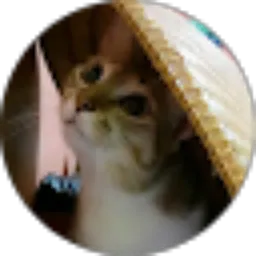 Review From Mahardika Lintangsari