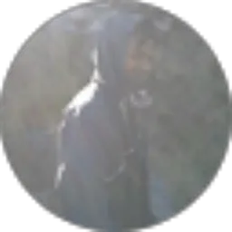 Review From aldi virus