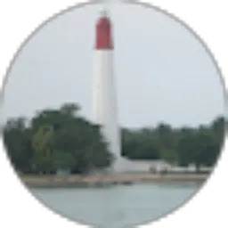 Review From al fajri