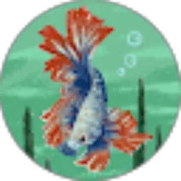 Review From Muhammad Noto