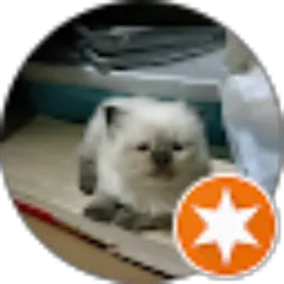 Review From tomy kuncoro