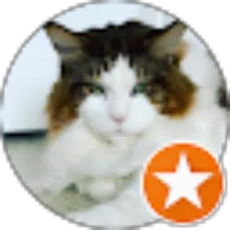 Review From mira setiowati