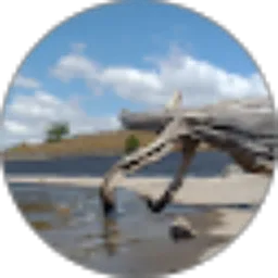 Review From tomi wijaya