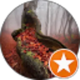 Review From ðewą bůmi