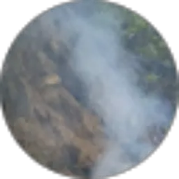 Review From Syahrizal Syahrizal