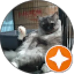 Review From Fajar Kurniawan