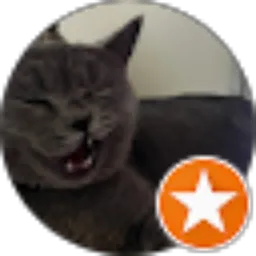 Review From Akmi Sendi