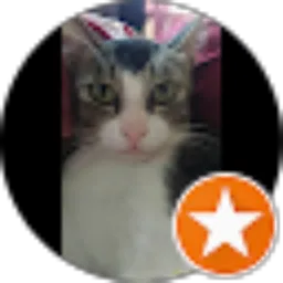 Review From Oryn Labha