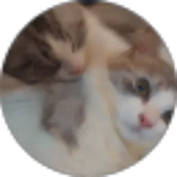 Review From kara medina