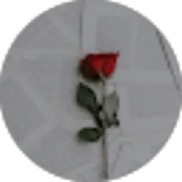 Review From Erin Pradipta