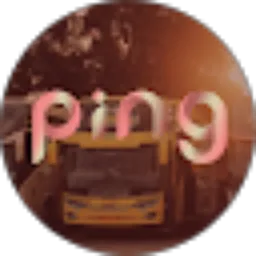 Review From PING Project